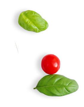 DOLCE PIZZA MARSEILLE